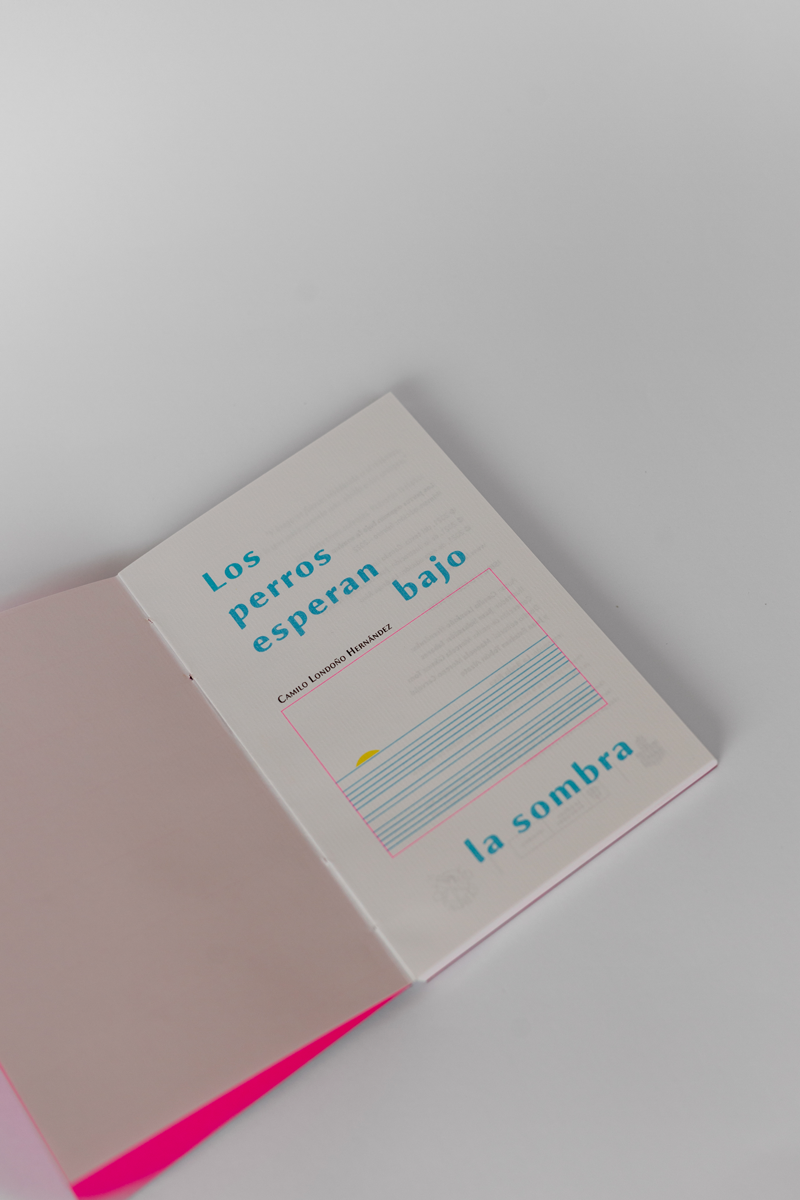 Los perros esperan bajo la sombra